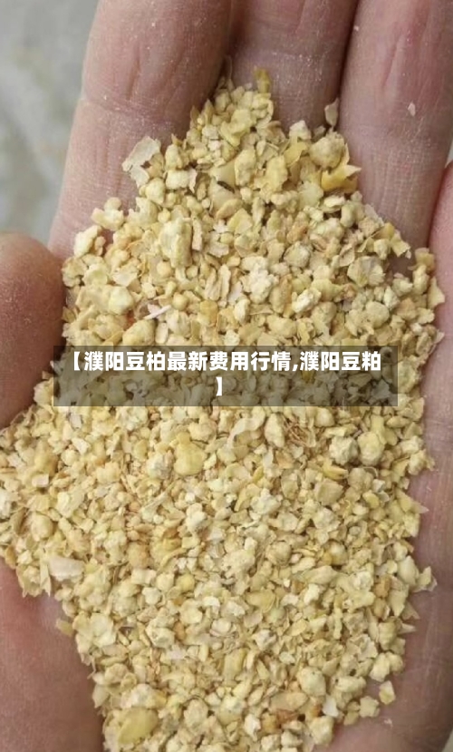 【濮阳豆柏最新费用行情,濮阳豆粕】