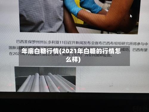 年底白糖行情(2021年白糖的行情怎么样)