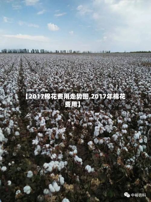 【2017棉花费用走势图,2017年棉花费用】