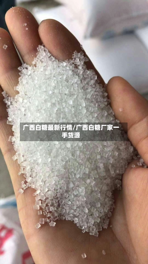 广西白糖最新行情/广西白糖厂家一手货源