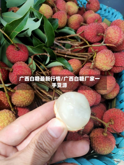广西白糖最新行情/广西白糖厂家一手货源-第2张图片