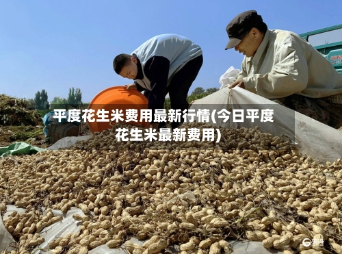 平度花生米费用最新行情(今日平度花生米最新费用)