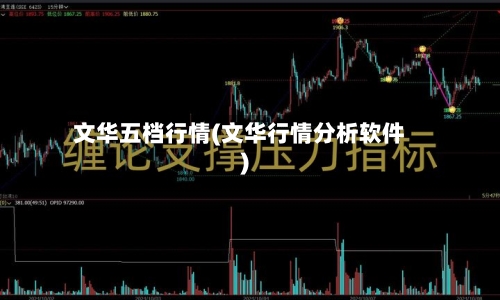 文华五档行情(文华行情分析软件)