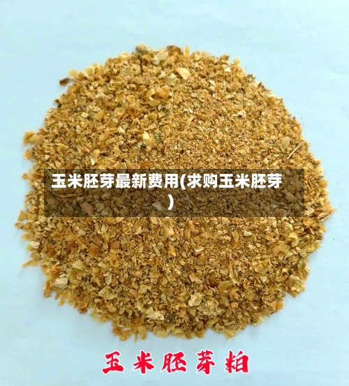 玉米胚芽最新费用(求购玉米胚芽)