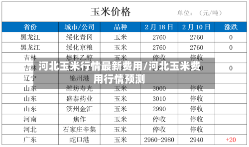 河北玉米行情最新费用/河北玉米费用行情预测