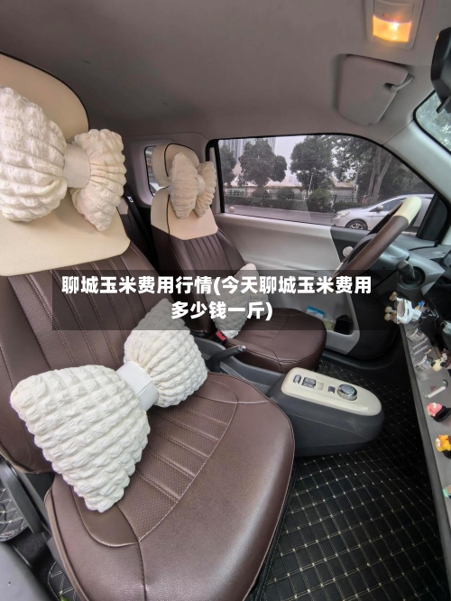 聊城玉米费用行情(今天聊城玉米费用多少钱一斤)