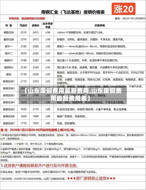 【山东废铜费用最新费用,山东废铜费用最新费用表】