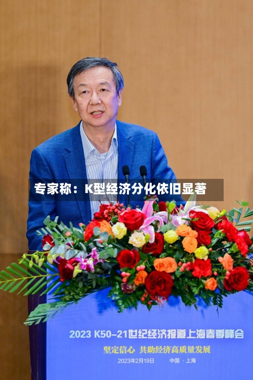 专家称：K型经济分化依旧显著