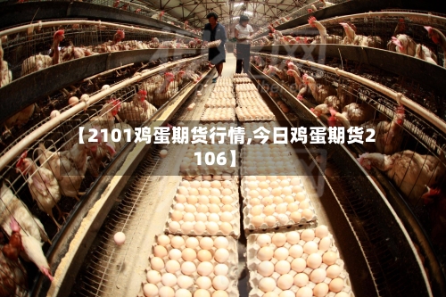 【2101鸡蛋期货行情,今日鸡蛋期货2106】
