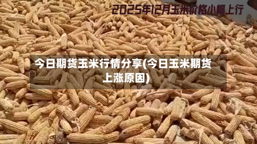 今日期货玉米行情分享(今日玉米期货上涨原因)
