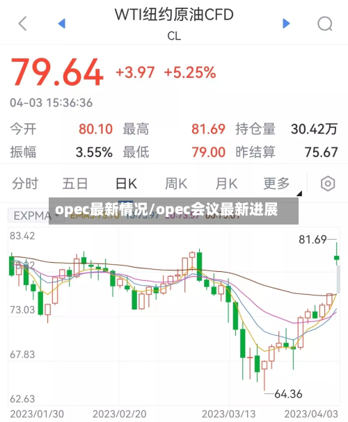 opec最新情况/opec会议最新进展