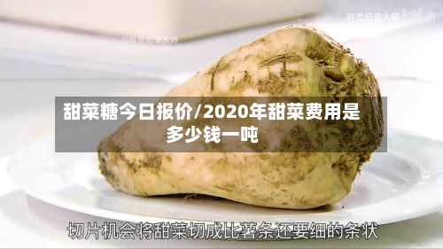 甜菜糖今日报价/2020年甜菜费用是多少钱一吨