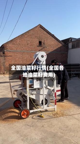 全国油菜籽行情(全国各地油菜籽费用)