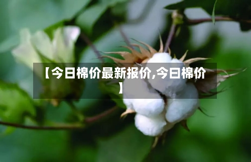 【今日棉价最新报价,今曰棉价】