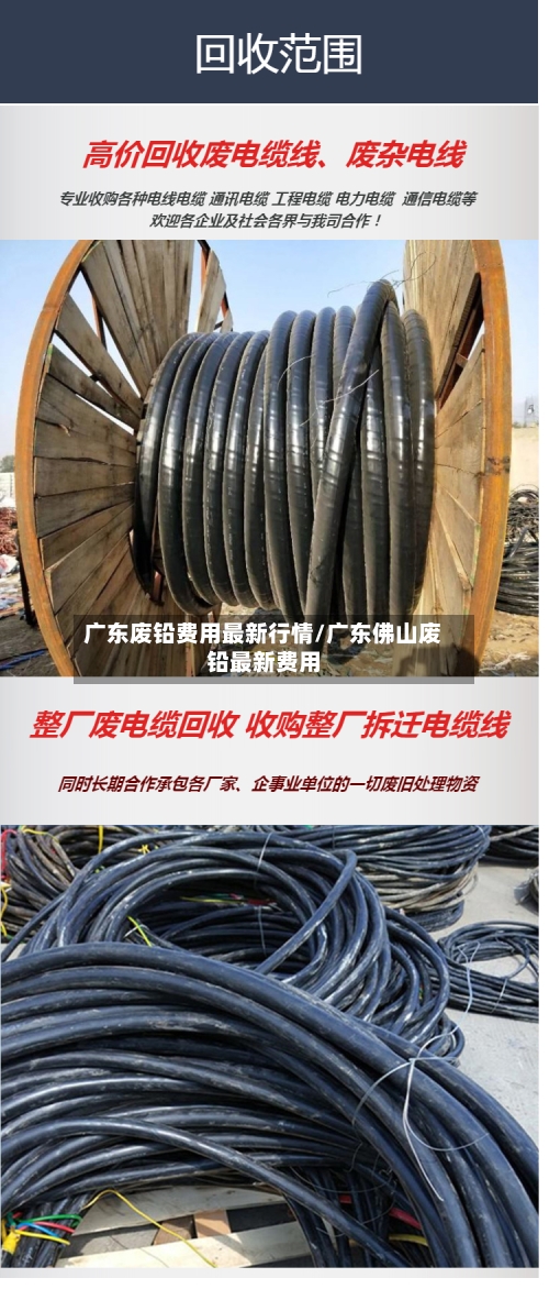 广东废铅费用最新行情/广东佛山废铅最新费用