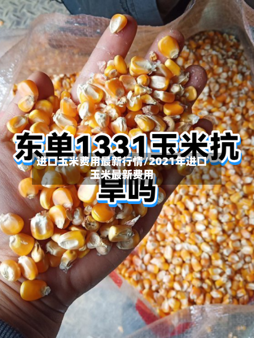 进口玉米费用最新行情/2021年进口玉米最新费用