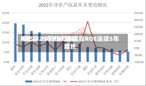 A股2025年ROE排名榜出炉 15只热门赛道股ROE连续5年增长