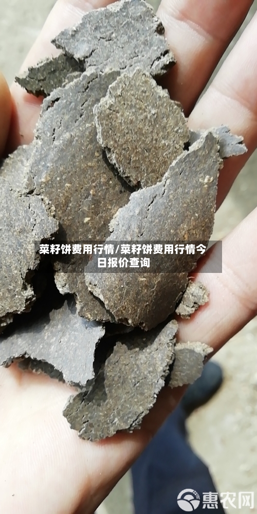菜籽饼费用行情/菜籽饼费用行情今日报价查询