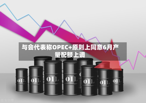 与会代表称OPEC+原则上同意6月产量配额上调