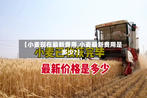 【小麦现在最新费用,小麦最新费用是多少?】