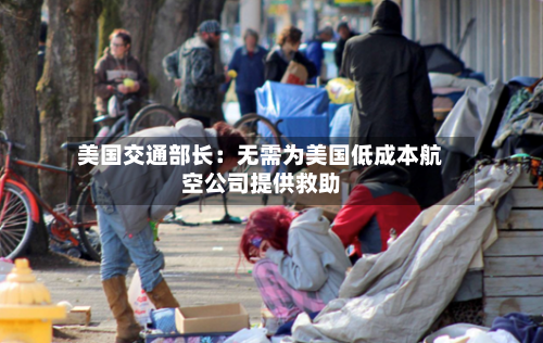美国交通部长:无需为美国低成本航空公司提供救助-第2张图片