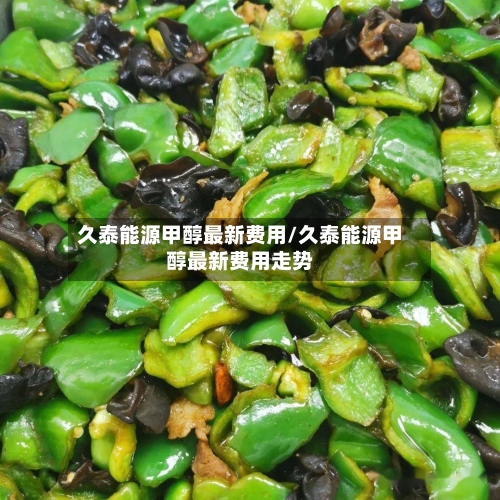 久泰能源甲醇最新费用/久泰能源甲醇最新费用走势