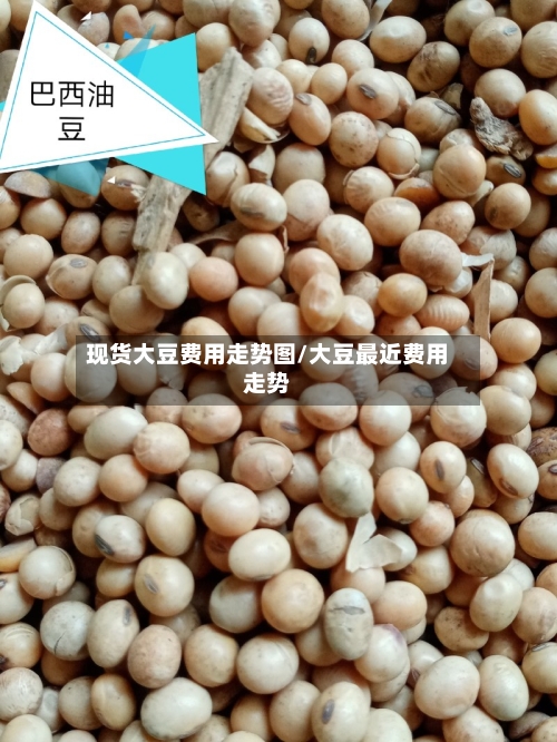 现货大豆费用走势图/大豆最近费用走势