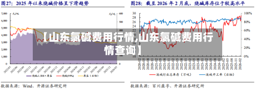 【山东氯碱费用行情,山东氯碱费用行情查询】