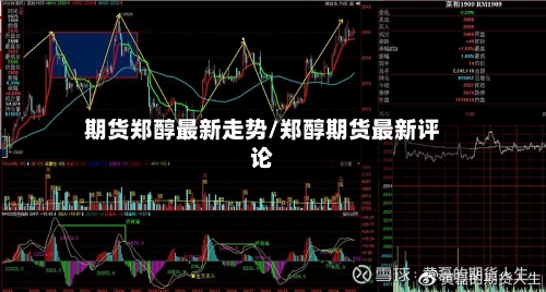 期货郑醇最新走势/郑醇期货最新评论