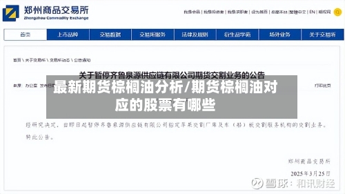 最新期货棕榈油分析/期货棕榈油对应的股票有哪些