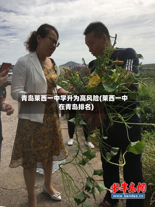 青岛莱西一中学升为高风险(莱西一中在青岛排名)