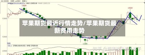 苹果期货最近行情走势/苹果期货最新费用走势-第2张图片