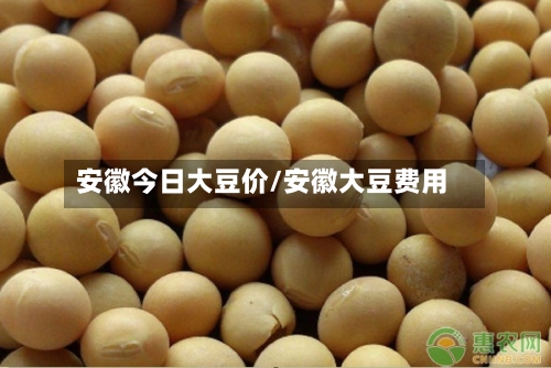 安徽今日大豆价/安徽大豆费用-第1张图片