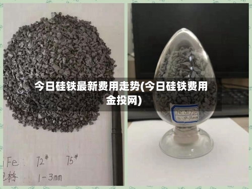 今日硅铁最新费用走势(今日硅铁费用金投网)
