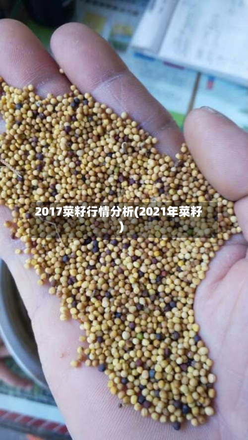 2017菜籽行情分析(2021年菜籽)