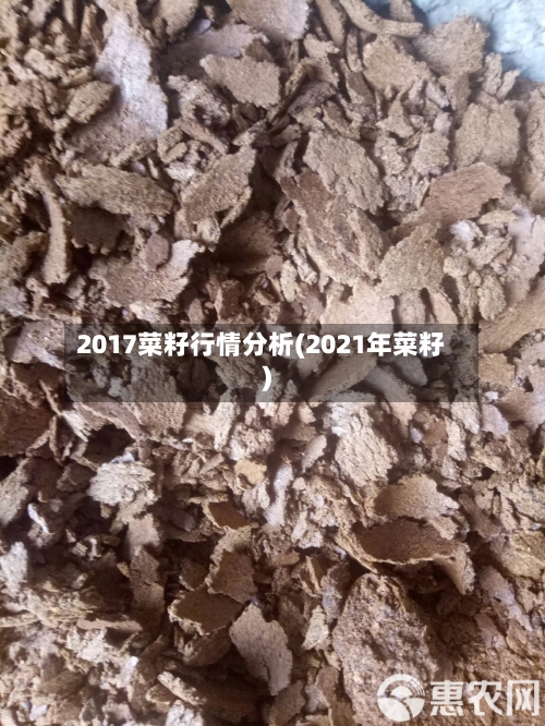 2017菜籽行情分析(2021年菜籽)-第3张图片