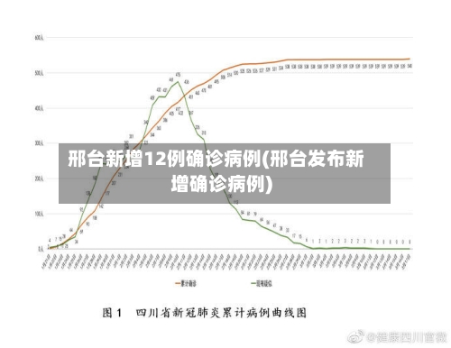 邢台新增12例确诊病例(邢台发布新增确诊病例)-第3张图片