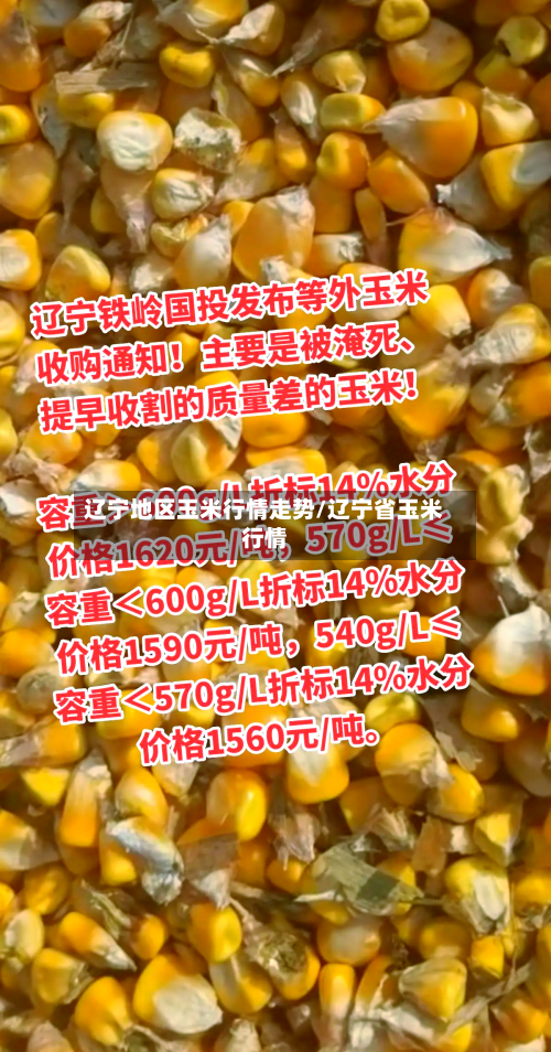辽宁地区玉米行情走势/辽宁省玉米行情