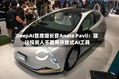DeepAI首席增长官Aneta Pavli：建议投资人不要用开放式AI工具