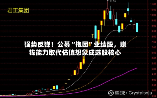 强势反弹！公募“抱团”业绩股	，赚钱能力取代估值想象成选股核心-第2张图片