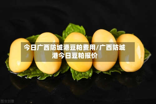 今日广西防城港豆粕费用/广西防城港今日豆粕报价