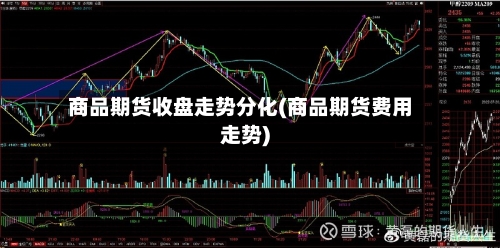 商品期货收盘走势分化(商品期货费用走势)-第2张图片
