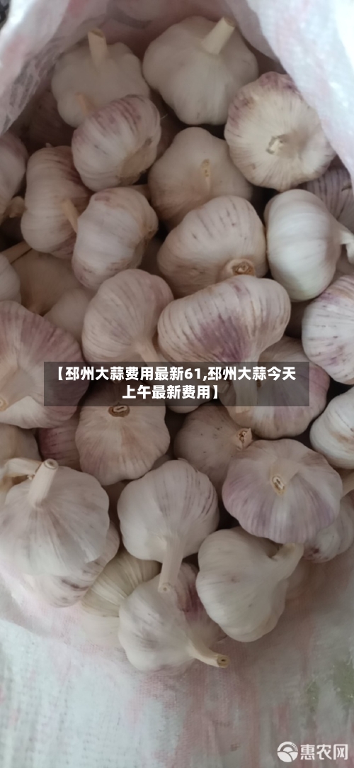 【邳州大蒜费用最新61,邳州大蒜今天上午最新费用】-第3张图片