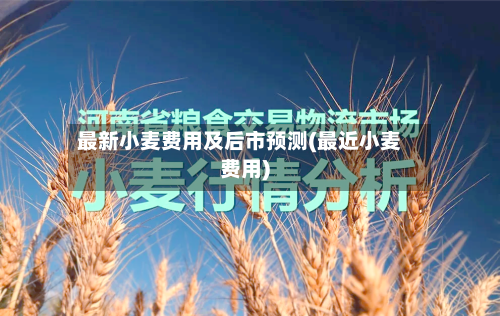 最新小麦费用及后市预测(最近小麦费用)-第2张图片