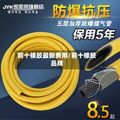 前十橡胶最新费用/前十橡胶品牌-第3张图片