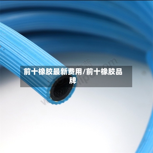 前十橡胶最新费用/前十橡胶品牌-第2张图片