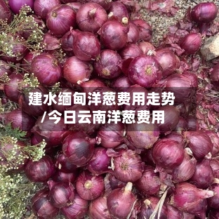 建水缅甸洋葱费用走势/今日云南洋葱费用