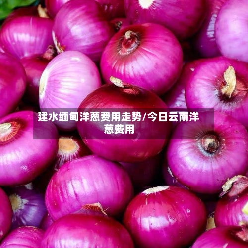 建水缅甸洋葱费用走势/今日云南洋葱费用-第2张图片