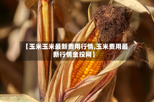 【玉米玉米最新费用行情,玉米费用最新行情金投网】