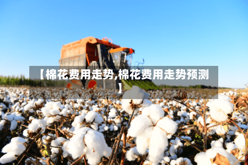 【棉花费用走势,棉花费用走势预测】-第3张图片